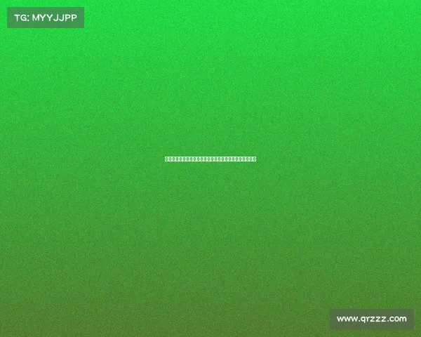 法国选手在国际滑翔伞精准降落锦标赛中力压群雄荣获冠军